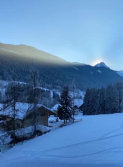 Appartement Cosy Proche Chatel Portes Du Soleil - Linge Inclus อาบงดองซ์ ภายนอก รูปภาพ